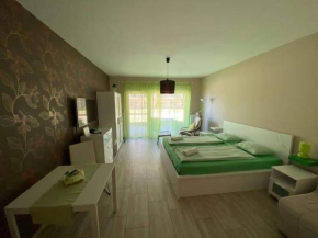 Tóparti Wellness Apartman Delux